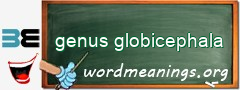 WordMeaning blackboard for genus globicephala